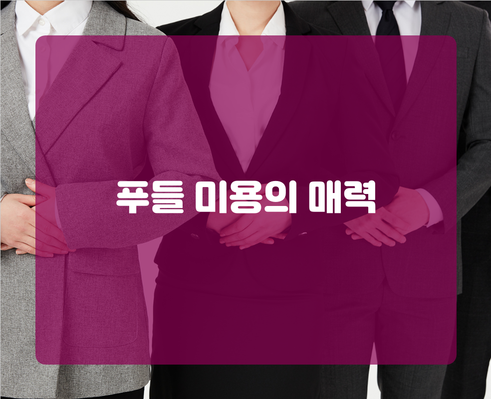 푸들 미용의 매력