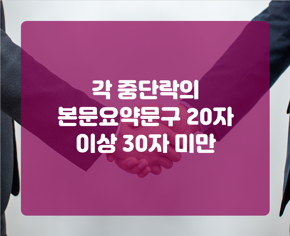 각 중단락의 본문요약문구 20자 이상 30자 미만